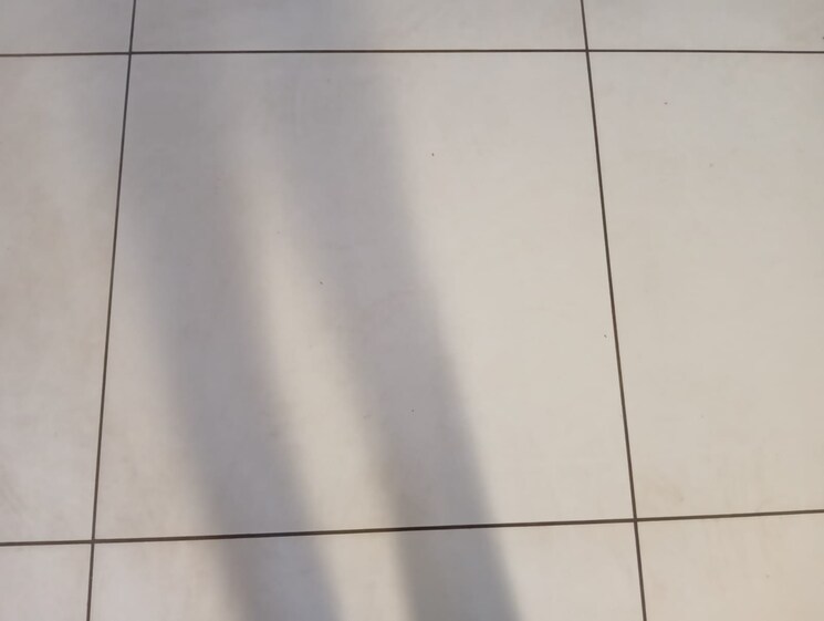 undefined, avirat-silver-radiance-4 Commercial Office Space 885 Sq.Ft. In Gota Ahmedabad 9461990