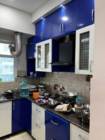 2 BHK Apartment For Rent in Gaur City 2 - 14th Avenue, Sector 16c Greater Noida