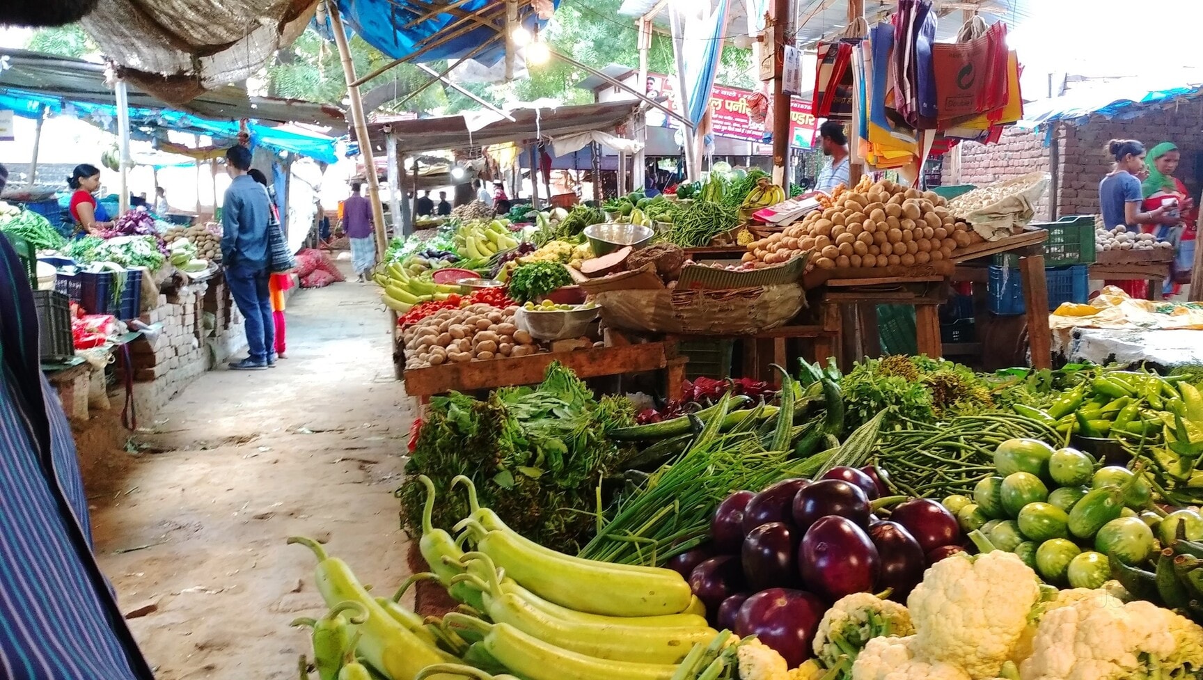 Plot For Sale in Free Hold Plot 