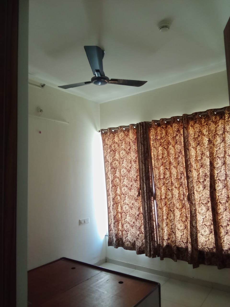 1 BHK + Study Room Apartment For Rent in Kolte Patil Life Republic Oro Avenue