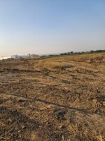 99 Sq.Yd. Plot in Signature Global Daxin Vistas