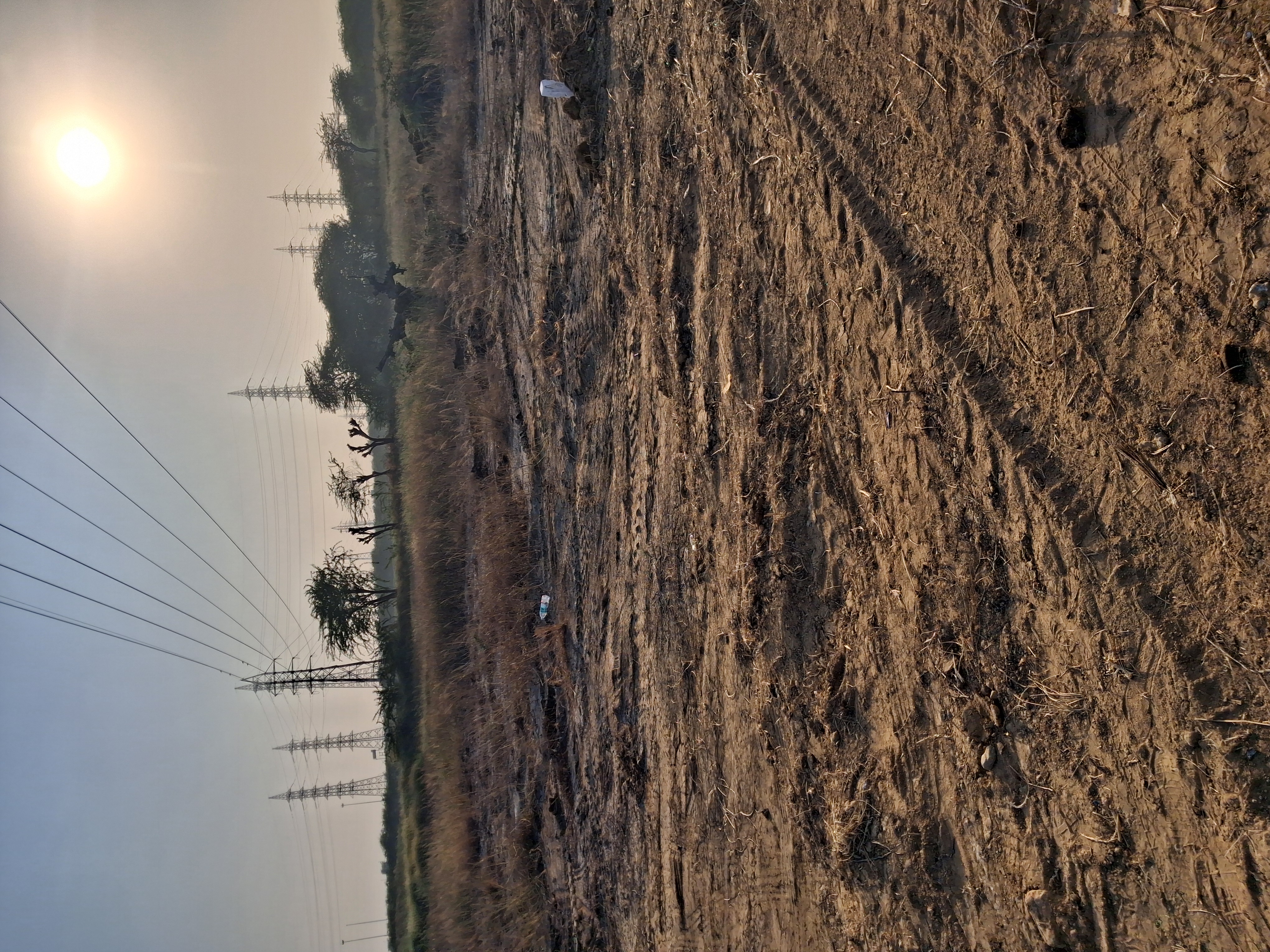 Plot For Sale in Signature Global Daxin Vistas