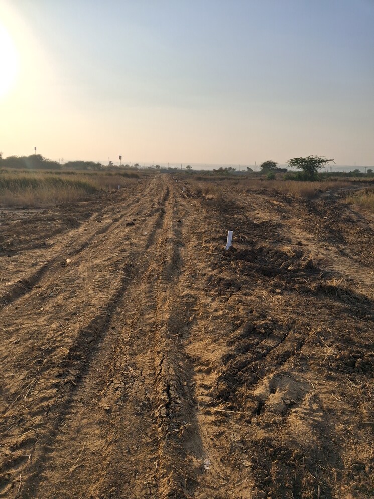 undefined, signature-global-daxin-vistas  201 Sq.Yd. Plot In Bhondsi Gurgaon 9462427