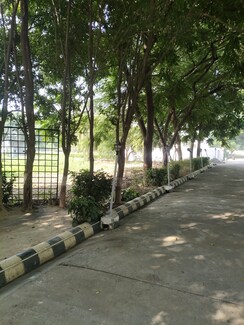 Plot For Sale in Bithoor