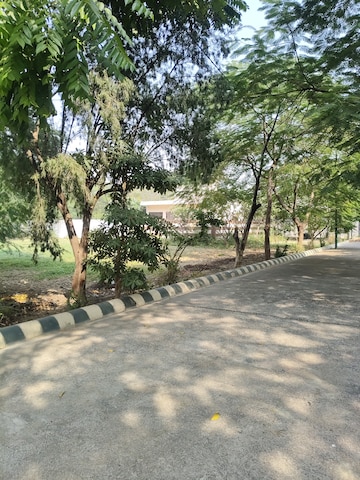 Plot Area in  Plot at Bithoor – for Sale