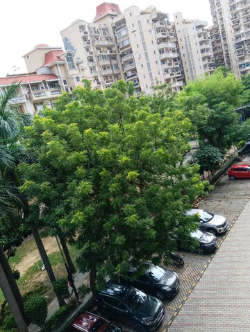 3 BHK Apartment – Exterior View View at Parsvnath Green Ville, Sector 48 - for Rent