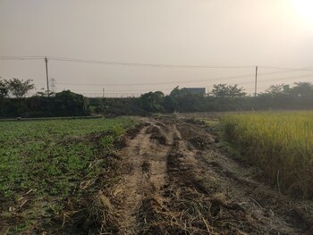 Plot for Sale in Beldarichak, Patna
