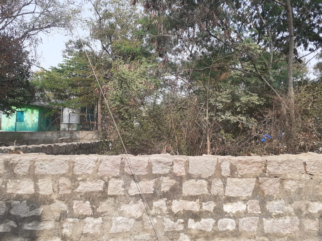 Plot For Sale in Royal Rajputana co