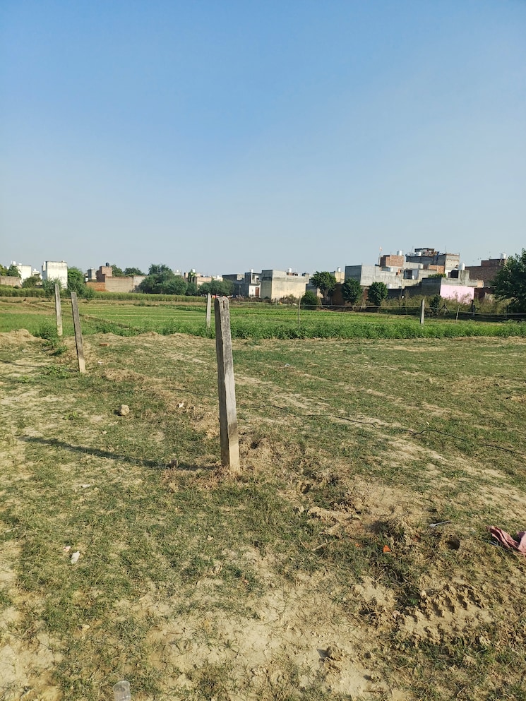 Garden, palla  89 Sq.Yd. Plot In Palla Faridabad 9463008