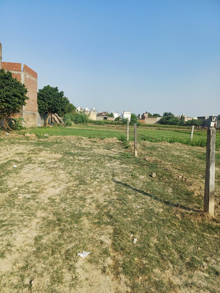 Garden, palla  90 Sq.Yd. Plot In Palla Faridabad 9463021