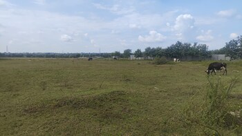 Land for Sale in Shabad, Hyderabad