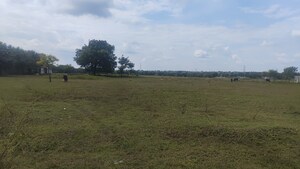 Plot Area in  Land at Shabad – for Sale