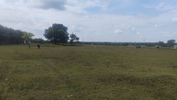 Plot Area in  Land at Shabad – for Sale