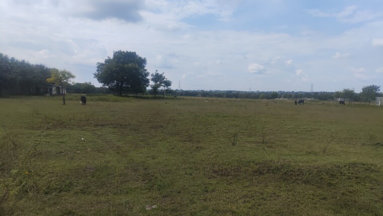 undefined, shabad Commercial Land 15 Acre In Shabad Hyderabad 9463318