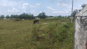 Plot Area in  Land at Shabad – for Sale