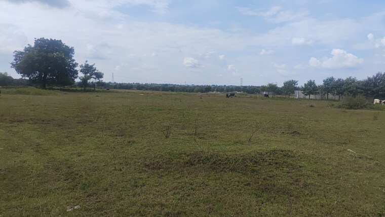 undefined, shabad Commercial Land 15 Acre In Shabad Hyderabad 9463318