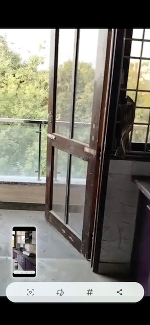 Balcony in 2 BHK Builder Floor at Puri PP City Centre, Pitampura – for Rent