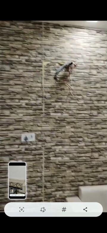 Bathroom in 2 BHK Builder Floor at Puri PP City Centre, Pitampura – for Rent