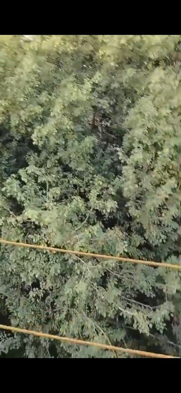 Plot Area in 2 BHK Builder Floor at Puri PP City Centre, Pitampura – for Rent