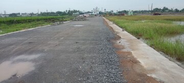  Plot For Sale in Pamarru