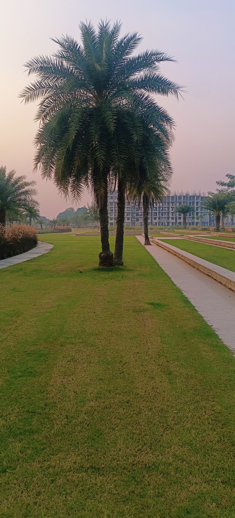 Garden, pintail-park-city  2700 Sq.Ft. Plot In Mastemau Lucknow 9463694