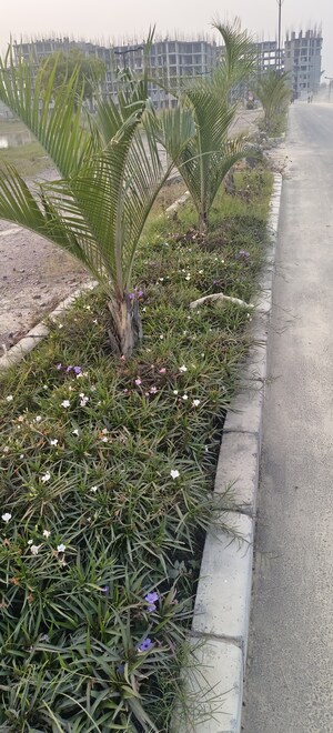  Plot – Exterior View View at Pintail Park City, Mastemau - for Sale