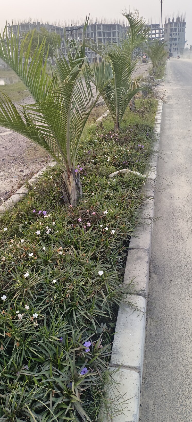 Exterior View, pintail-park-city  2700 Sq.Ft. Plot In Mastemau Lucknow 9463694