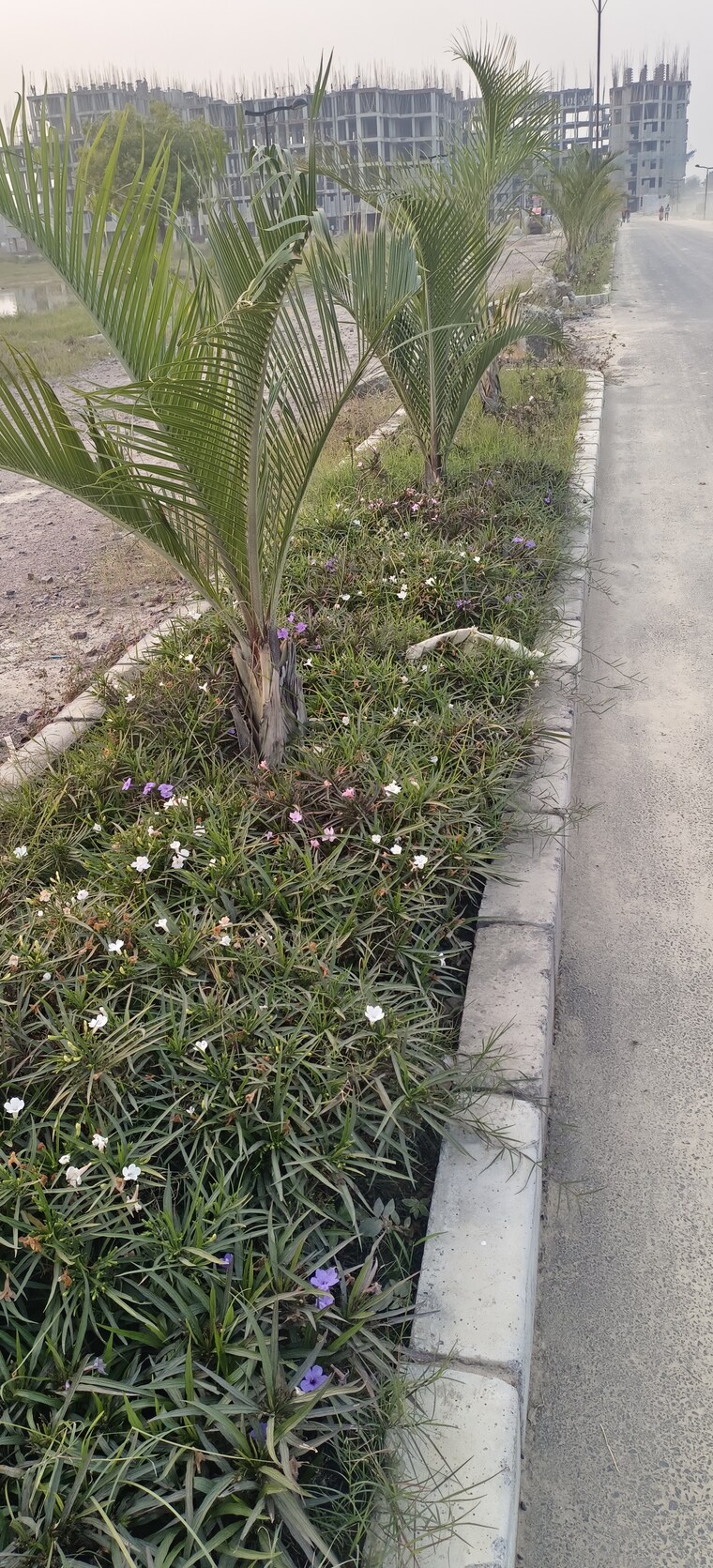 Exterior View, pintail-park-city  2700 Sq.Ft. Plot In Mastemau Lucknow 9463694