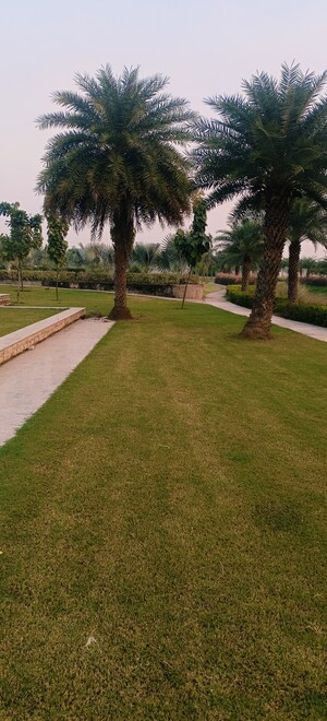  Plot – Garden View at Pintail Park City, Mastemau - for Sale