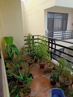 Balcony in 2 BHK Apartment at Crystal View Apartment, Faizabad Road – for Rent