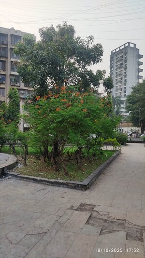 2 BHK Apartment – Exterior View View at Fam CHS, Kopar Khairane - for Rent