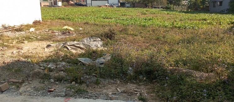 undefined, dehradun cantt  1170 Sq.Ft. Plot In Dehradun Cantt Dehradun 9460745