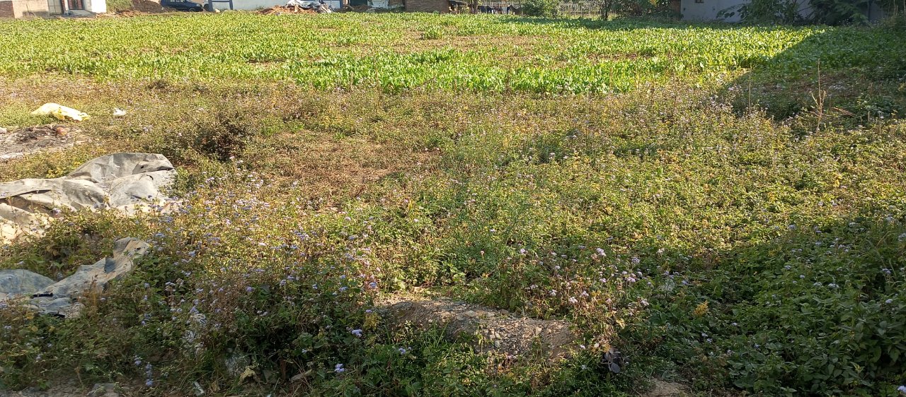 Plot For Sale in Property 