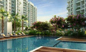 Swimming Pool in 1 BHK Apartment at Godrej Horizon, Mohammadwadi – for Sale
