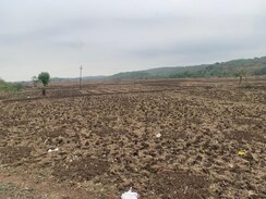 Plot For Sale in Investment Plot 