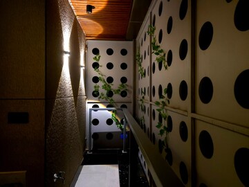 Kitchen in 2 BHK Builder Floor at Vasant Vihar – for Rent