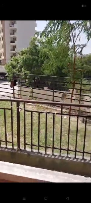 Balcony in 3 BHK Apartment at Amrapali Golf Homes, Sector 4 Greater Noida – for Rent