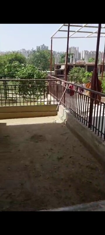 3 BHK Apartment For Rent in Amrapali Golf Homes, Sector 4 Greater Noida