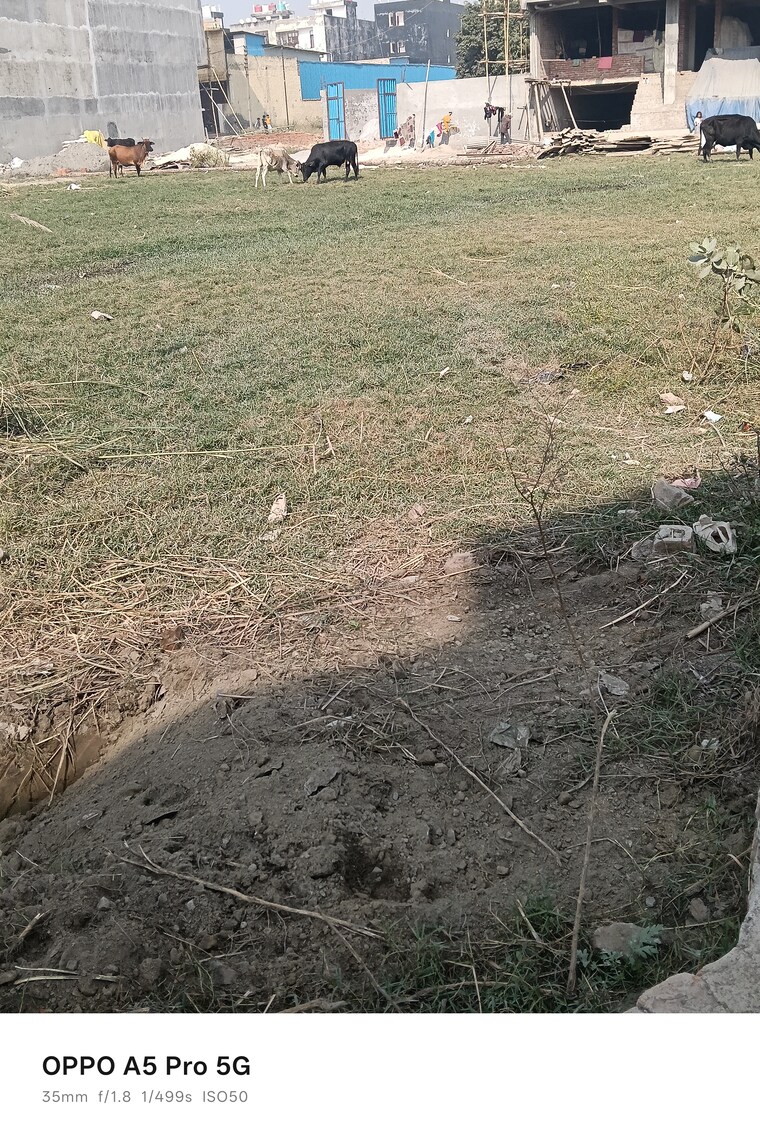 undefined, kanchan-vihar  1152 Sq.Ft. Plot In Dlf Ankur Vihar Ghaziabad 9464627