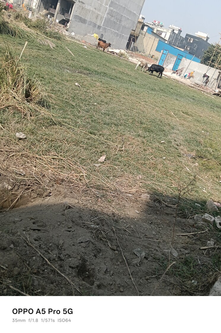 undefined, kanchan-vihar  1170 Sq.Ft. Plot In Dlf Ankur Vihar Ghaziabad 9464634