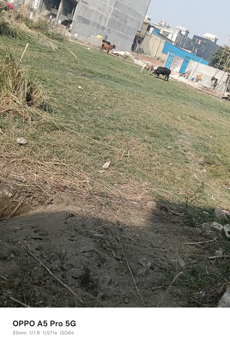 undefined, kanchan-vihar  1170 Sq.Ft. Plot In Dlf Ankur Vihar Ghaziabad 9464634
