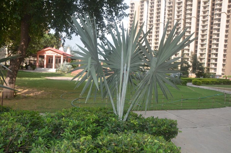 Exterior View, the-essentia 2 Bedroom 830 Sq.Ft. Apartment In Alwar Bypass Road Bhiwadi 9464732