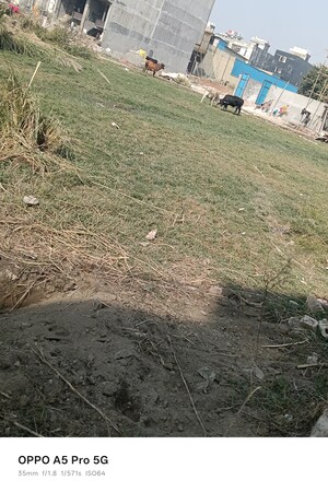 Plot Area in  Plot at Kanchan Vihar, Dlf Ankur Vihar – for Sale