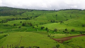  Plot For Sale in Abhimanshree Society, Pashan