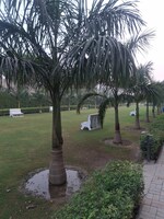 3.5 BHK 1620 Sq.Ft. Builder Floor in BPTP Green Oaks