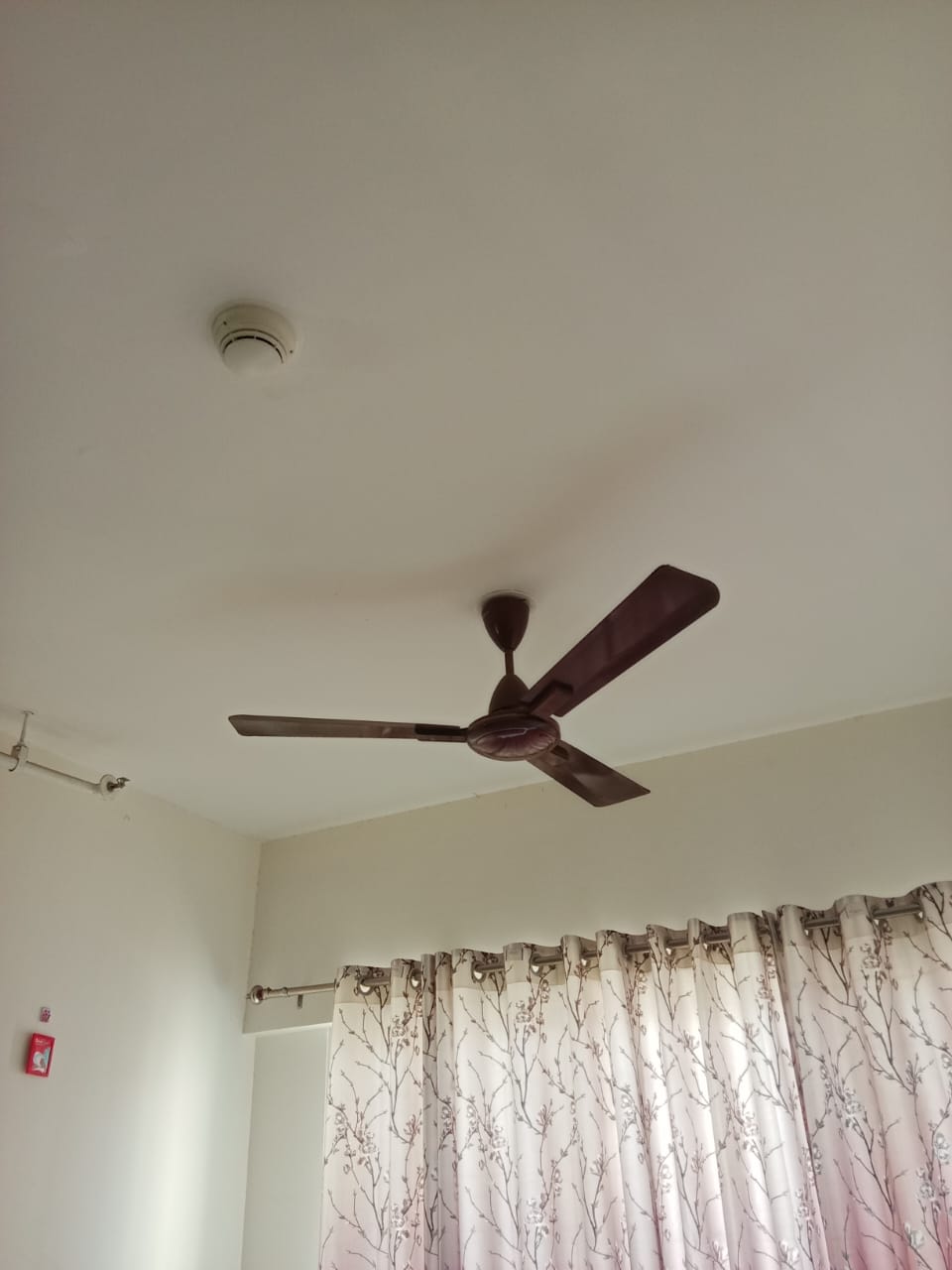 1 BHK + Study Room Apartment For Rent in Kolte Patil Life Republic