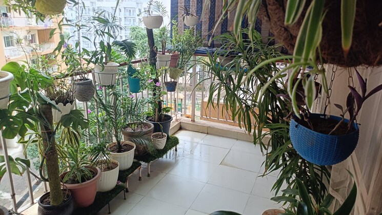 Balcony, orris-carnation-residency 3.5 Bedroom 1700 Sq.Ft. Apartment In Sector 85 Gurgaon 9465464