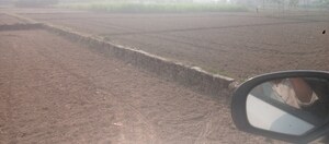 Plot Area in  Plot at Motiram Adda – for Sale