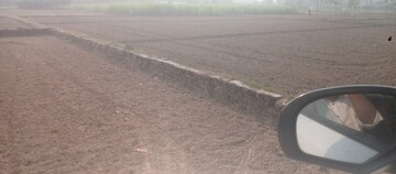 Plot Area in  Plot at Motiram Adda – for Sale