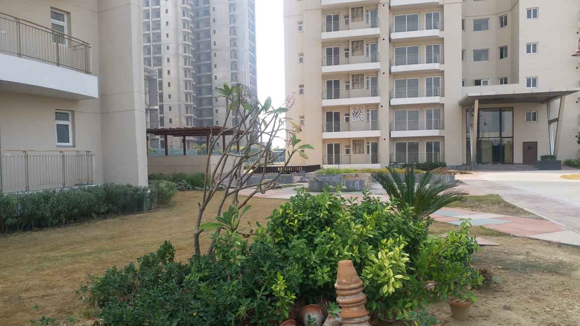 2 BHK Apartment For Rent in BPTP Discovery Park